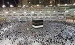 حضور ۴۷ هزار حاجی ایرانی در سرزمین وحی