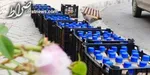 میوه‌های نوبرانه در میادین ارزان‌تر از سطح شهر است
