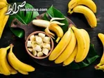 اینفوگرافیک/ مواد غذایی حساسیت‌زا کدامند؟