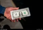 دستگیری ۵ دلال ارزی در تهران + جزئیات