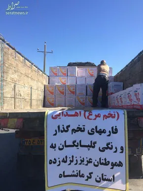 تصویری از داور دربی در حال مداوای زلزله‌زده‌ها