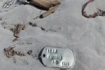 عکس/«پل خيبري‌ها» چگونه ماندگار شدند؟