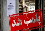 به مرغ‌ها آنتی بیوتیک می‌دهند نه تریاک و هورمون