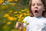 ۱۷ توصیه‌ طب ایرانی برای فصل بهار