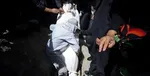 دعوت ۱۱۰ مداح و شاعر آیینی برجسته کشور به حضور حداکثری در انتخابات