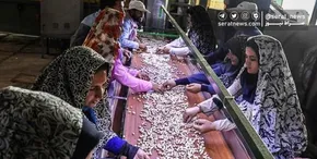 فیلم / رئیس‌جمهور: وعده سالی یک میلیون شغل در حال تحقق هست