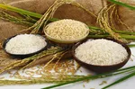 سرنوشت مشابه دختر ۲۰ ساله کوهدشتی با رومینا اشرفی و ریحانه عامری