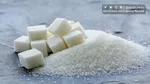لزوم ارائه یارانه و کارت نان به مردم