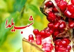 برنامه های تلویزیون در شب یلدا