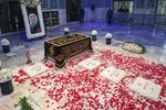 حرم رضوی گلباران شد +عکس