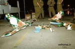 مازراتی ها به ایران آمدند + عکس