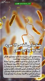 معجزه‌های فراوان زیارت عاشورا