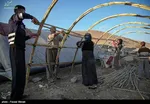 سارقان احشام در دشتی دستگیر شدند