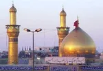 خانم‌های خانه‌دار در خطر ابتلا به آنفلوانزای پرندگان