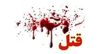 عربده‌کشی مرد شرور با تیراندازی پلیس تمام شد