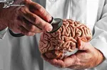 قطع همکاری با اساتید دانشگاه‌ها سیاسی نیست/ابلاغ کلیات عفو عمومی به وزارت علوم