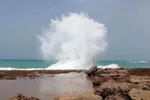 زلزله جنوب ایران را لرزاند