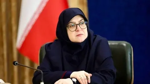 توضیحات سخنگوی دولت درباره طرح دورکاری برخی ادارات در فصل زمستان