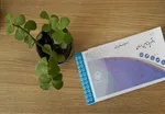 اعلام برنامه‌های حرم رضوی در ماه رمضان