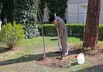 طرح احمقانه آمریکا برای غزه به هیچ‌جا نخواهد رسید