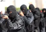 ترور شهید فتح الهی تروریستی به نظر می‌رسد