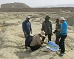 ۱۴ کشته و زخمی براثر واژگونی اتوبوس در اصفهان