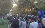 پاس گل عجیب آقای دوربینی تهران به معاندان!