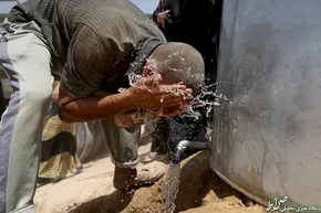 تصاویر/ گربۀ وزارت خارجه انگلیس