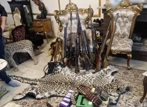 عکس/ میمون دماغ‌دراز