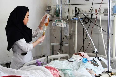 نماینده وزیر بهداشت خواستار توقف پذیرش دانشجوی پرستاری در مراکز غیردولتی شد