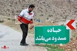 حیاتی‌ترین تاثیرات جنگل‌ها بر زندگی انسان