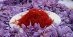 آغاز «بحرانِ آبِ تهران» / رگ حیات پایتخت زیر تیغ بی‌توجهی