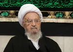 آیت‌ الله قائنی، استاد حوزه: از دیدن ویدیوی درمانگاه قم متاثر شدم