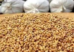 اعلام قیمت مصوب جدید نهاده‌های دامی و روغن