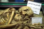 دوربین‌های جریمه جدید در جاده کرج - چالوس