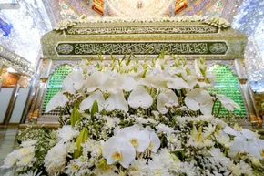 تصاویر| حرم امیرالمومنین محیای آخر صفر شد
