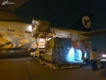 ۱۰ راهکار ساده برای درمان فوری سرماخوردگی