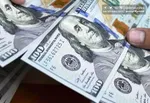 فرزین در واکنش به اسنپ‌بک: سیاست ارزی ثابت می‌ماند