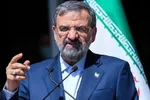 رضایی: با زبان بازی‌ مشکل اقتصاد حل نمی شود