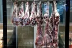 در بازار محصولات پروتئینی چه می‌گذرد؟