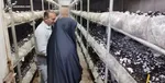 پردرآمدترین شغل‌های آزاد ایران