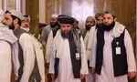 طالبان حمایت از ترامپ در انتخابات ۲۰۲۰ را تکذیب کرد