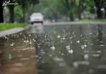 بارش باران در نقاط مختلف کشور/ افزایش دما در نوار شمالی