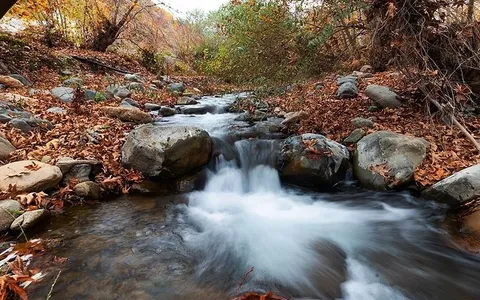 تصاویر / پاییز هزار رنگ در روستای «شیت» زنجان