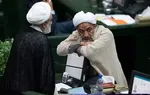 بیماری ها و آفات درخت چنار/ کرم سفید ریشه/ کرم برگ چنار/ سوسک چوبخوار/ مردم برای جلوگیری از سَم پاشی، حَشَره کُش و شَته کُش استفاده کنند!