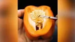 این مواد غذایی را نباید در فریزر گذاشت