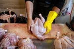 مرغ به قیمت مصوب رسید/ فروش مرغ در میادین میوه و تره‌بار زیر قیمت مصوب