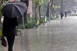 هلال احمر اعلام آماده‌باش کرد