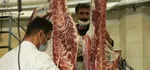 قیمت گوشت قرمز امروز ۲ مرداد ۱۴۰۴ + جدول