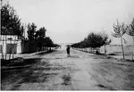 عکس/ سینما ایران در دوره پهلوی
